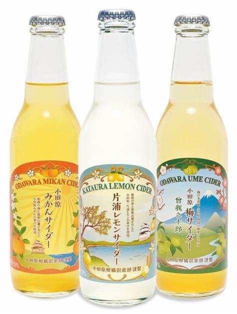 【年末年始限定】年末年始を美食＆美湯の箱根宮城野で◇SRC特別プラン（2食付）