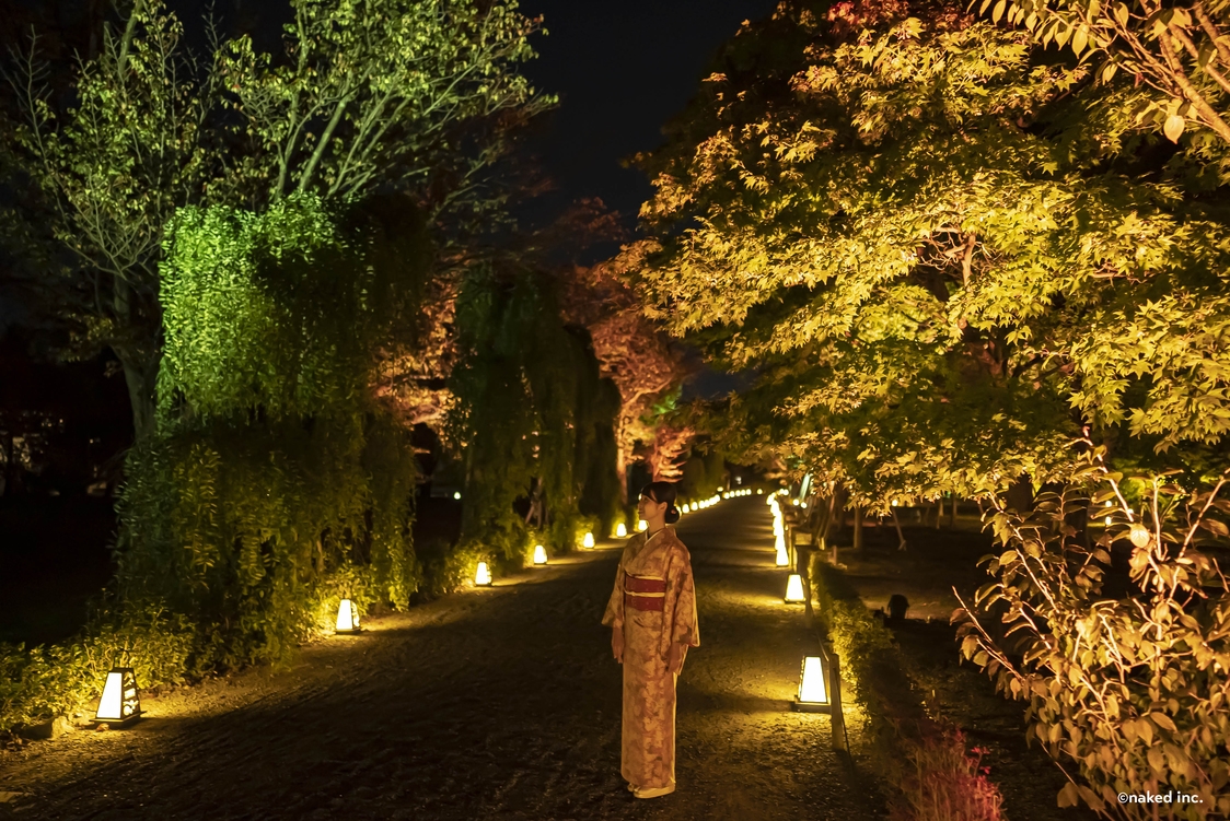 【セール】NAKED meets 二条城 2025 観月【世界遺産・二条城】ライトアップ開催記念