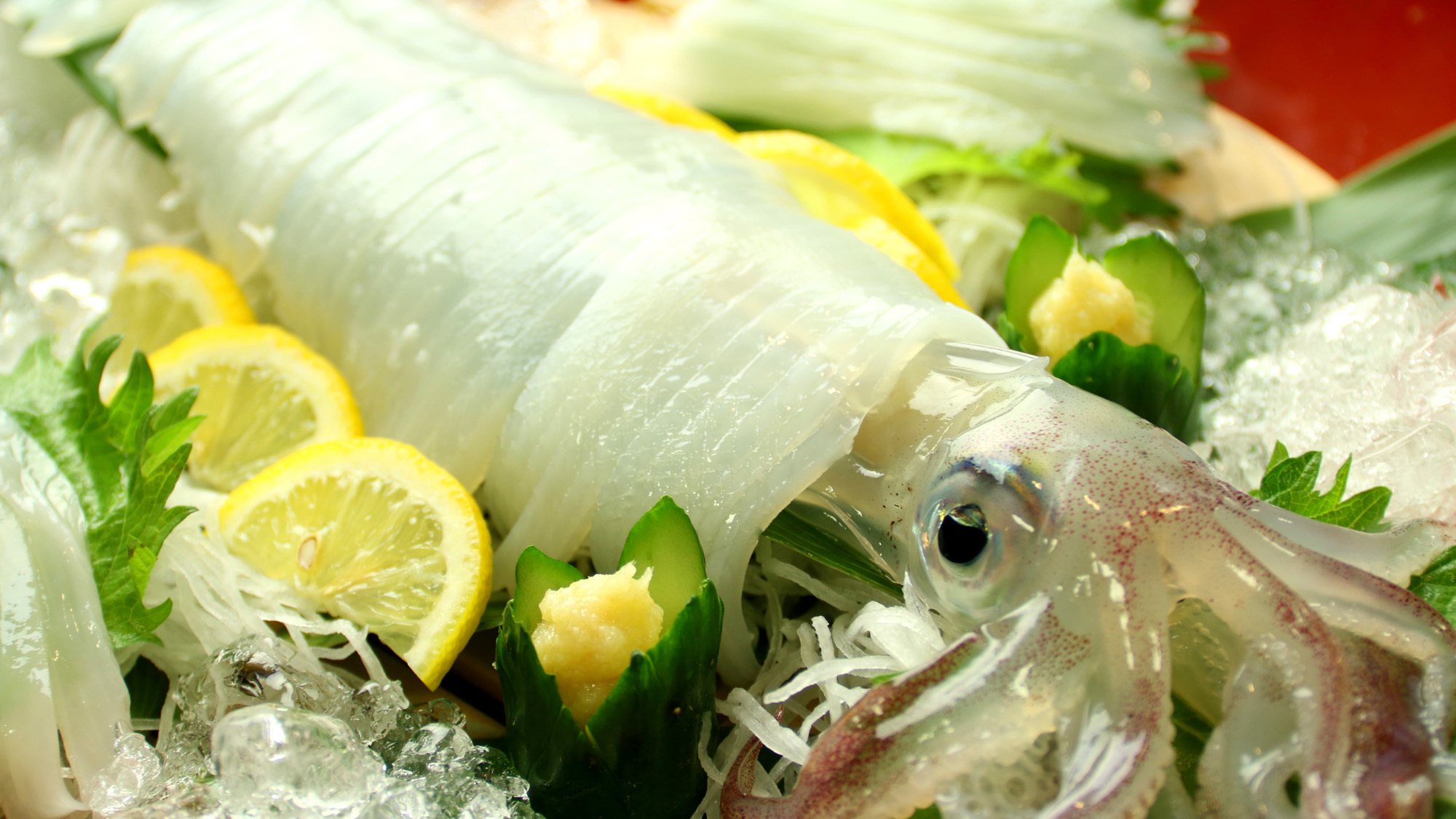 【イカ活造り付き】活きたまま捌き、そして食べる！新鮮尽くしの夏限定会席コース