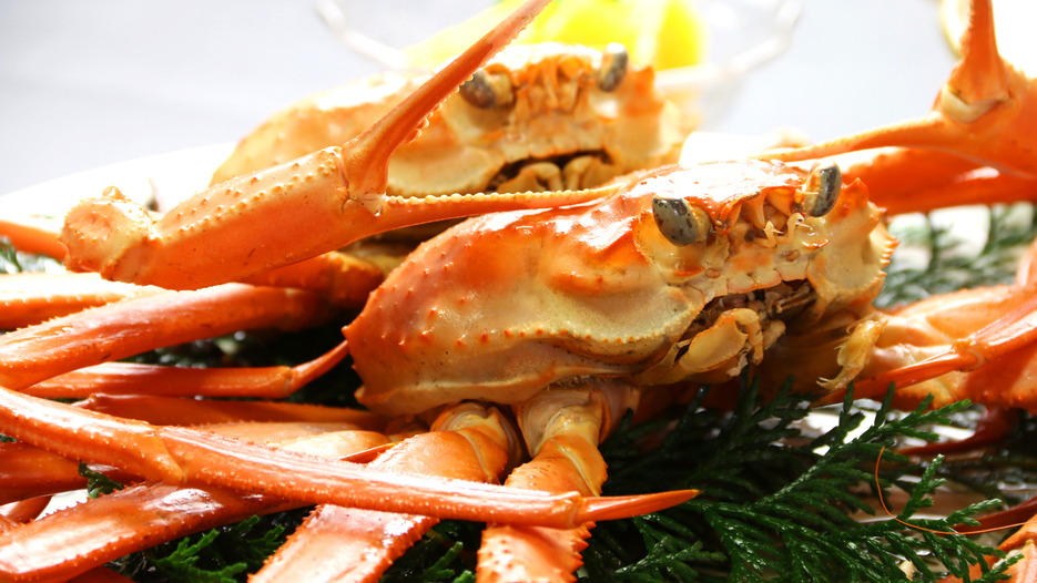 【香住蟹フルコース】紅ズワイこと香住蟹を心ゆくまでフルコースで食す【一泊二食】