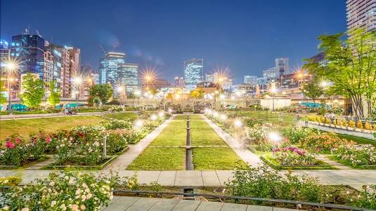 中之島公園夜景