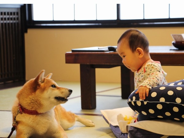 【ファミリー】ペットと赤ちゃん同室ＯＫ！ミキハウス認定ペットと泊まれるウェルカムベビールーム