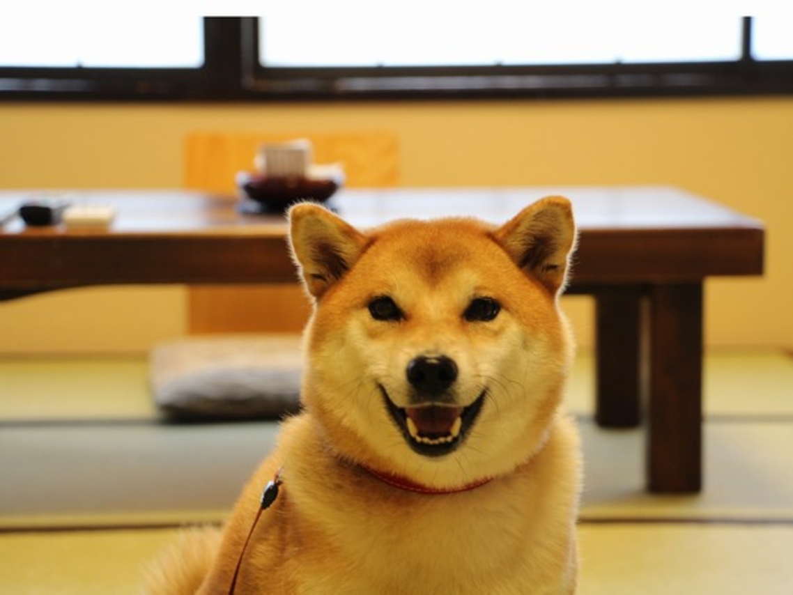 丸山温泉 古城館