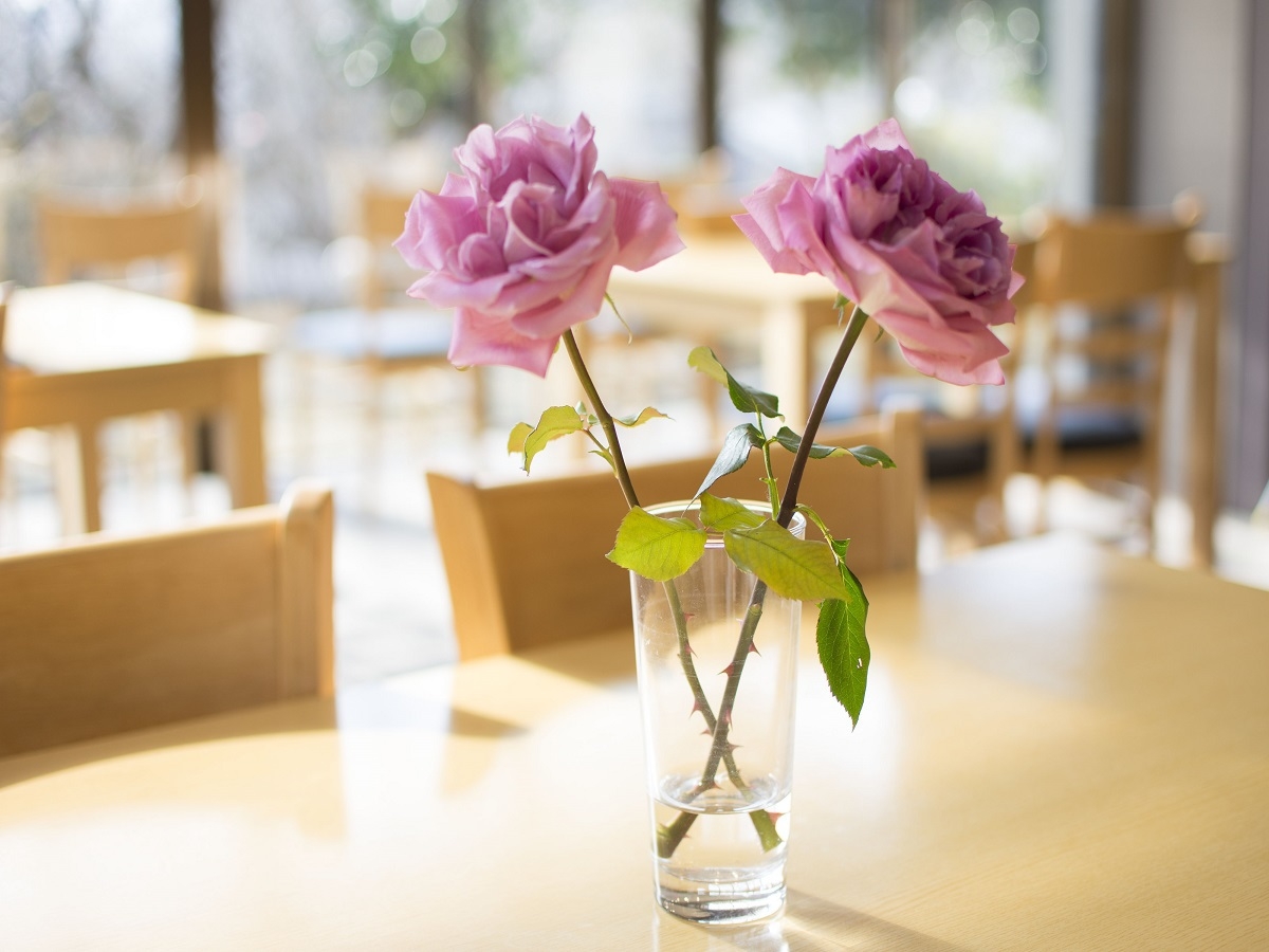 ＊♪〜ワイワイ女子会！みんなで温泉旅行に〜♪＊　このプランでサービス拡充＆料金お得！プラン★　　