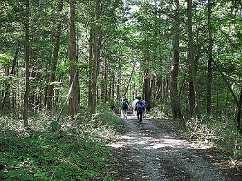 立場川沿いのピクニックコース