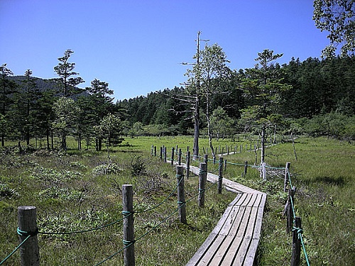 入笠山　大阿原湿原　