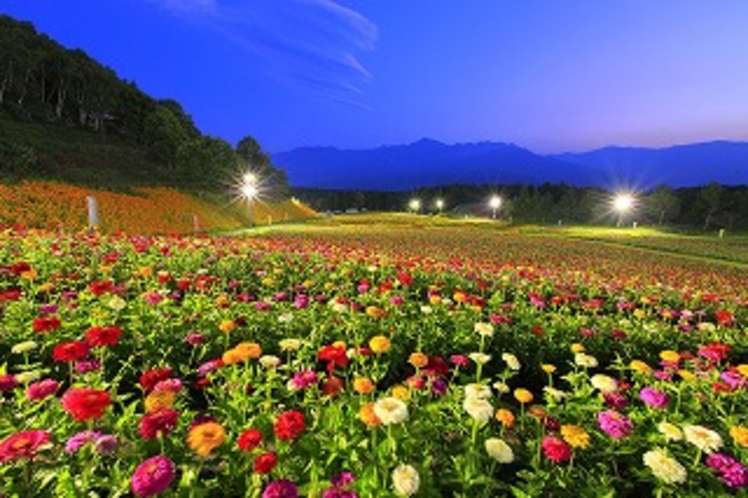 富士見高原リゾート・花の里②（７月頃～）