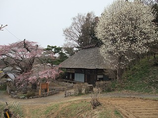 高森観音堂②　（４月中旬～）