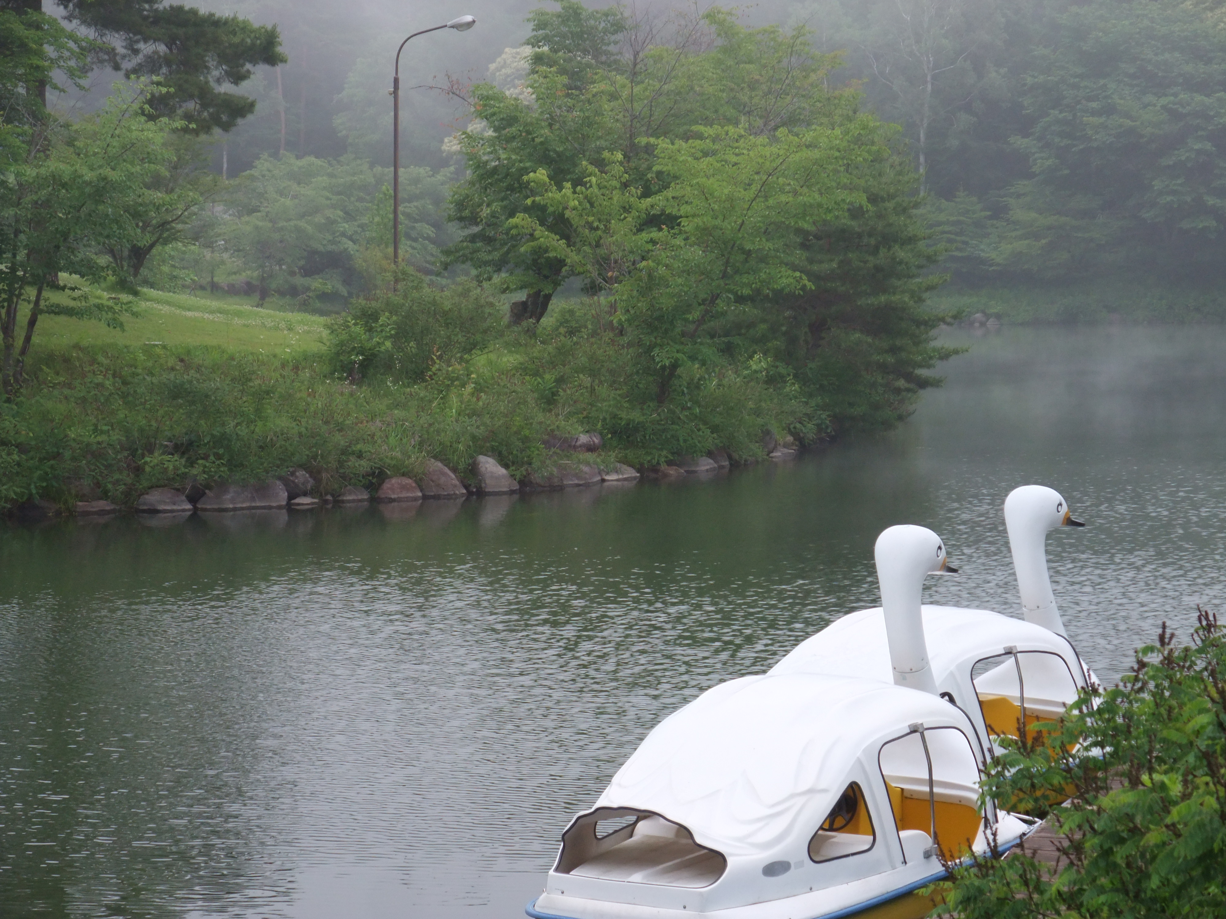 霧の中の鹿の池