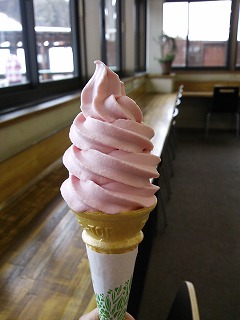 富士見パノラマスキー場③　（赤のルバーブソフトクリーム）
