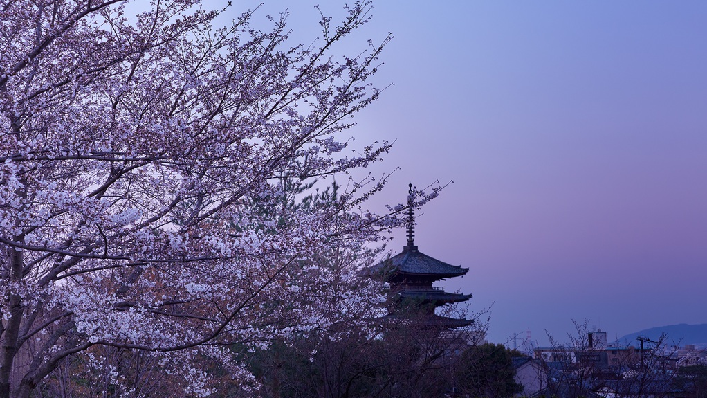 写真3