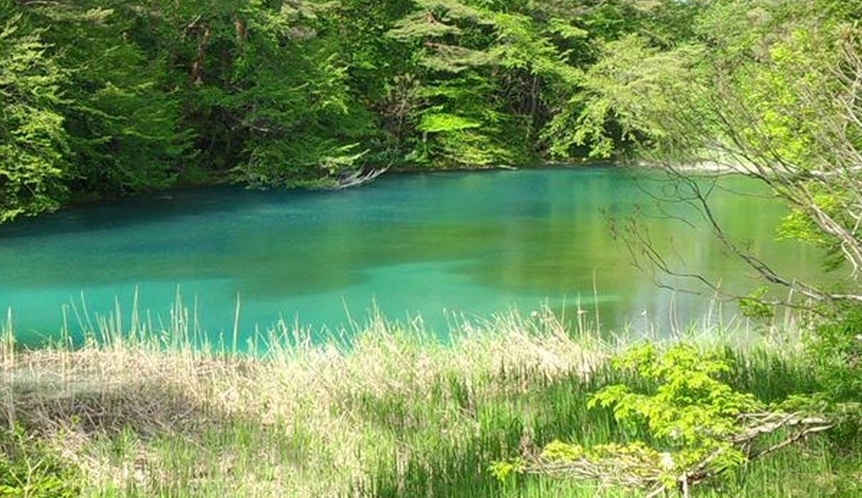 【五色沼】エメラルドグリーンやブルーなど様々な色彩が楽しめる観光名所