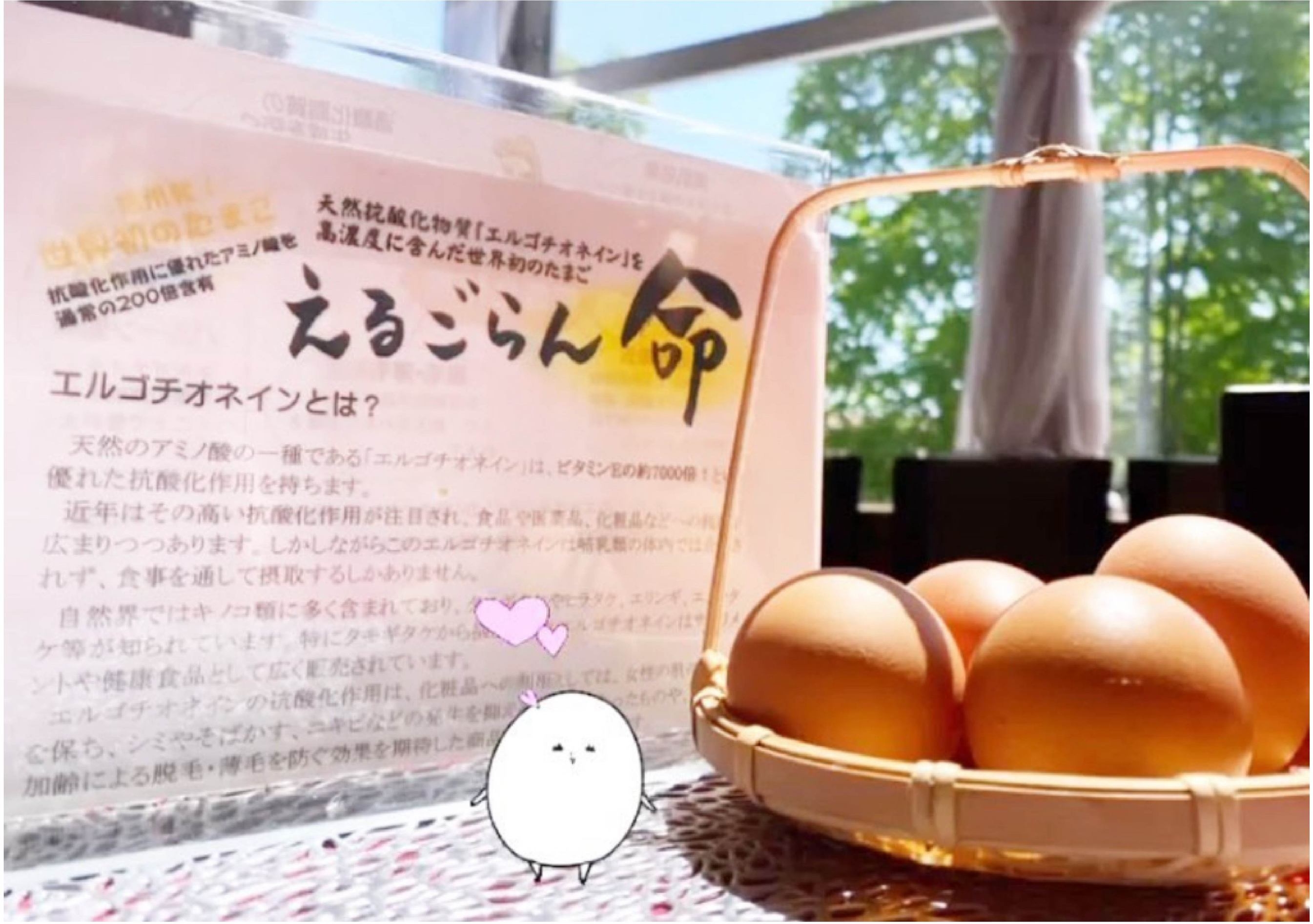 2食付　　お手軽夕食・ガーデンあずみ野カレーと信州蕎麦セット　朝食は洋食
