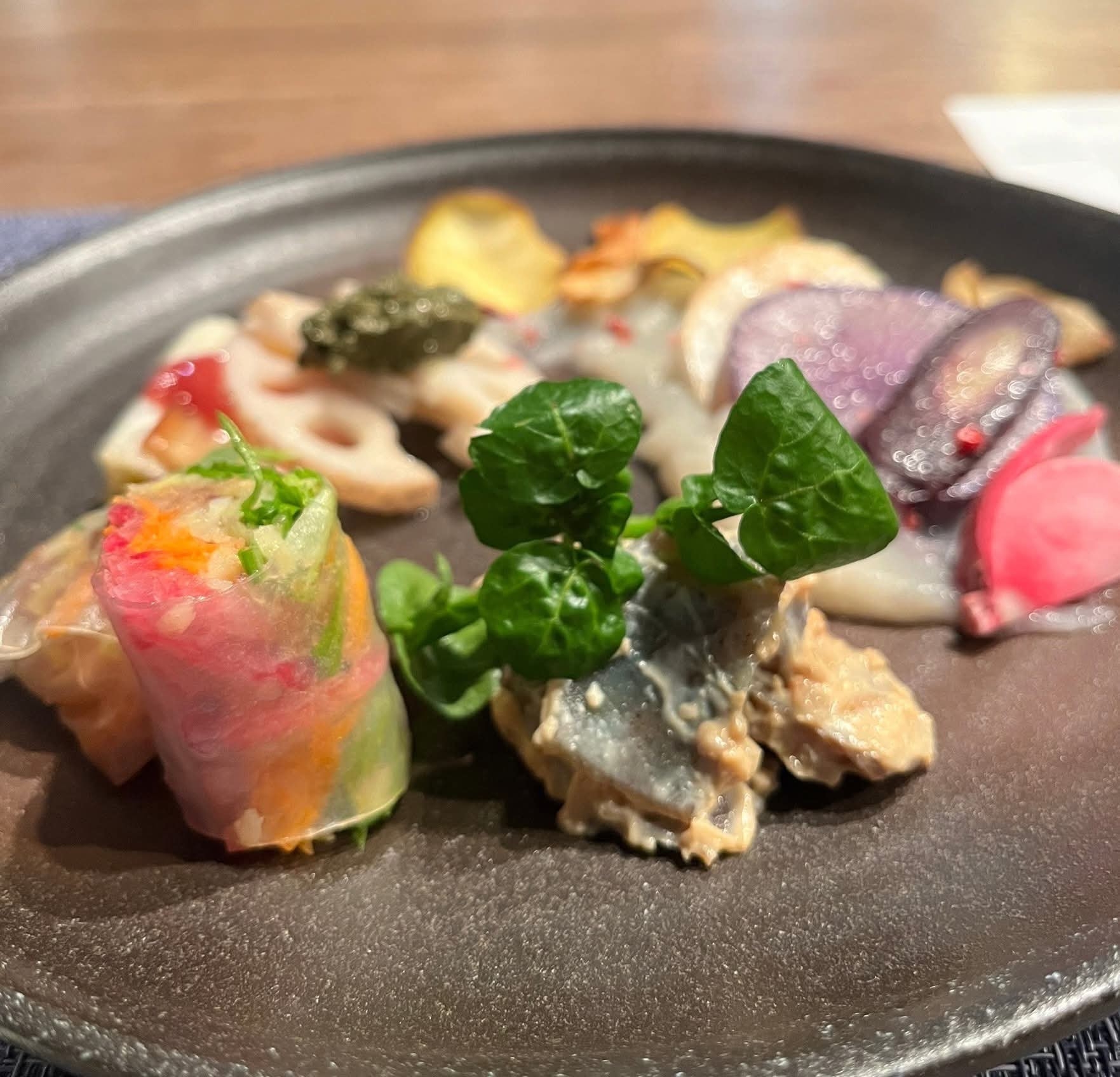 3月28日限定　音楽・芸術・菜食で 心と体を癒す ピアノコンサート＆特別菜食ディナー　朝食付き