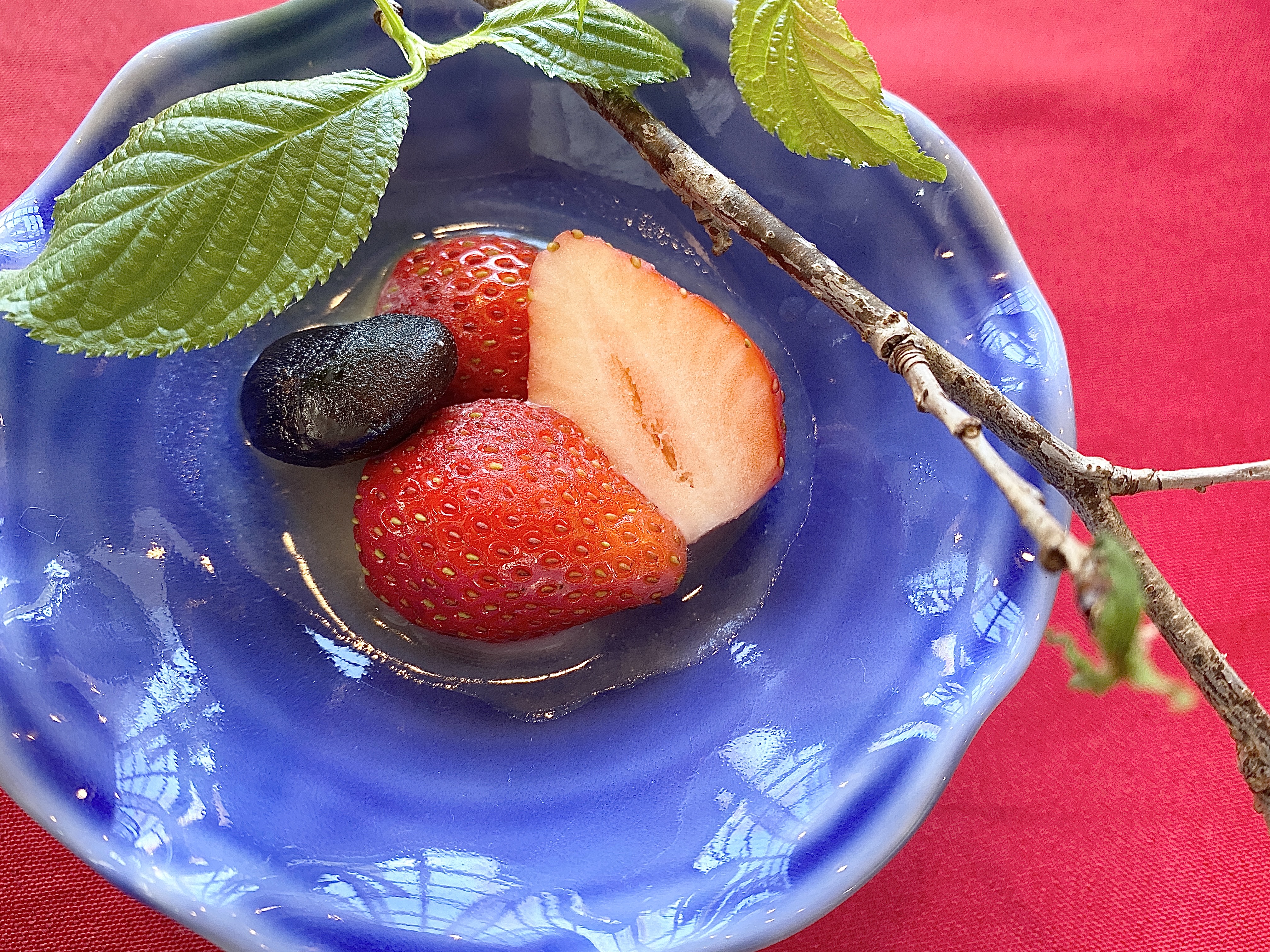 信州の素材を生かした 和洋創作お料理