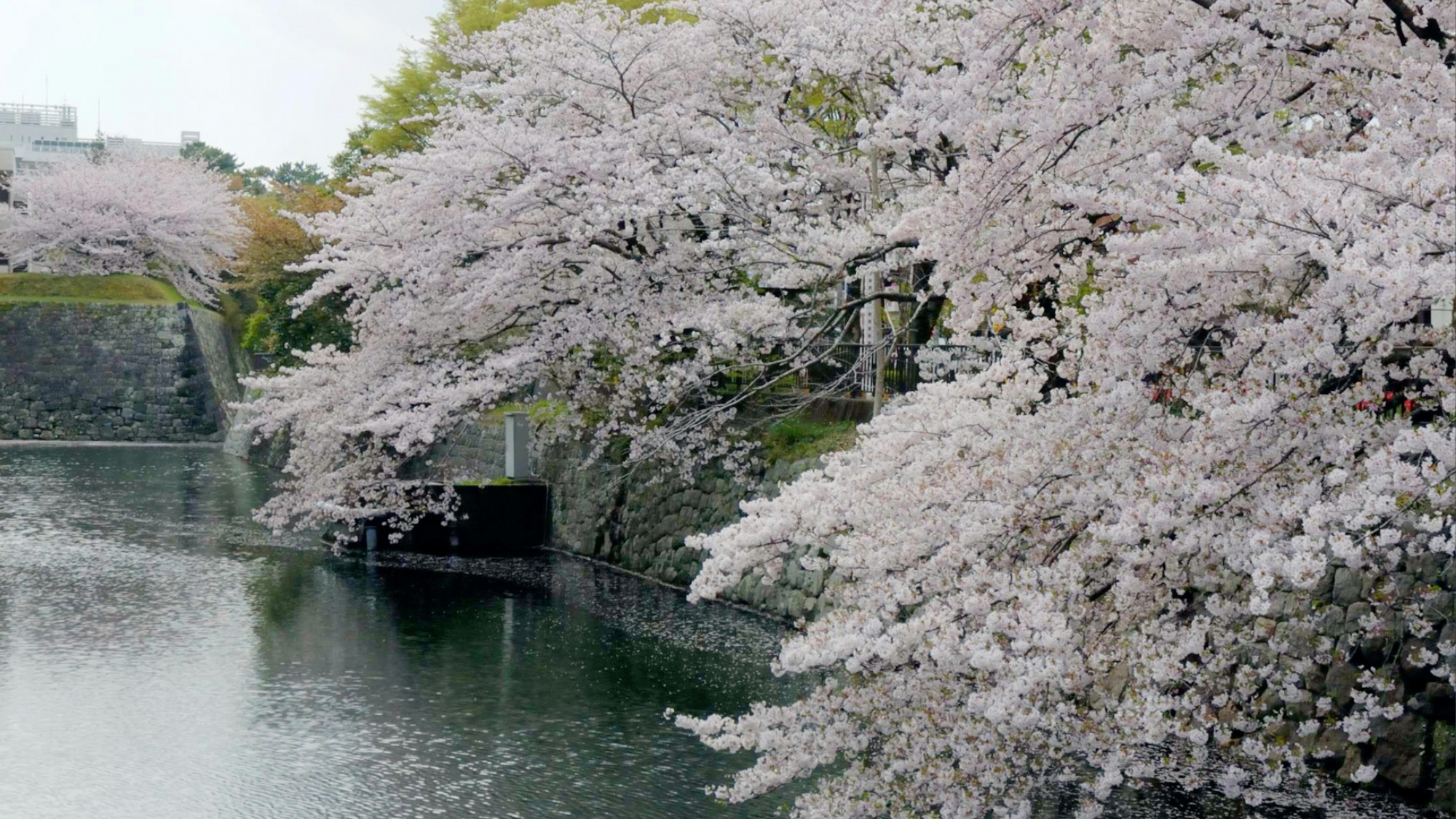 駿府城公園