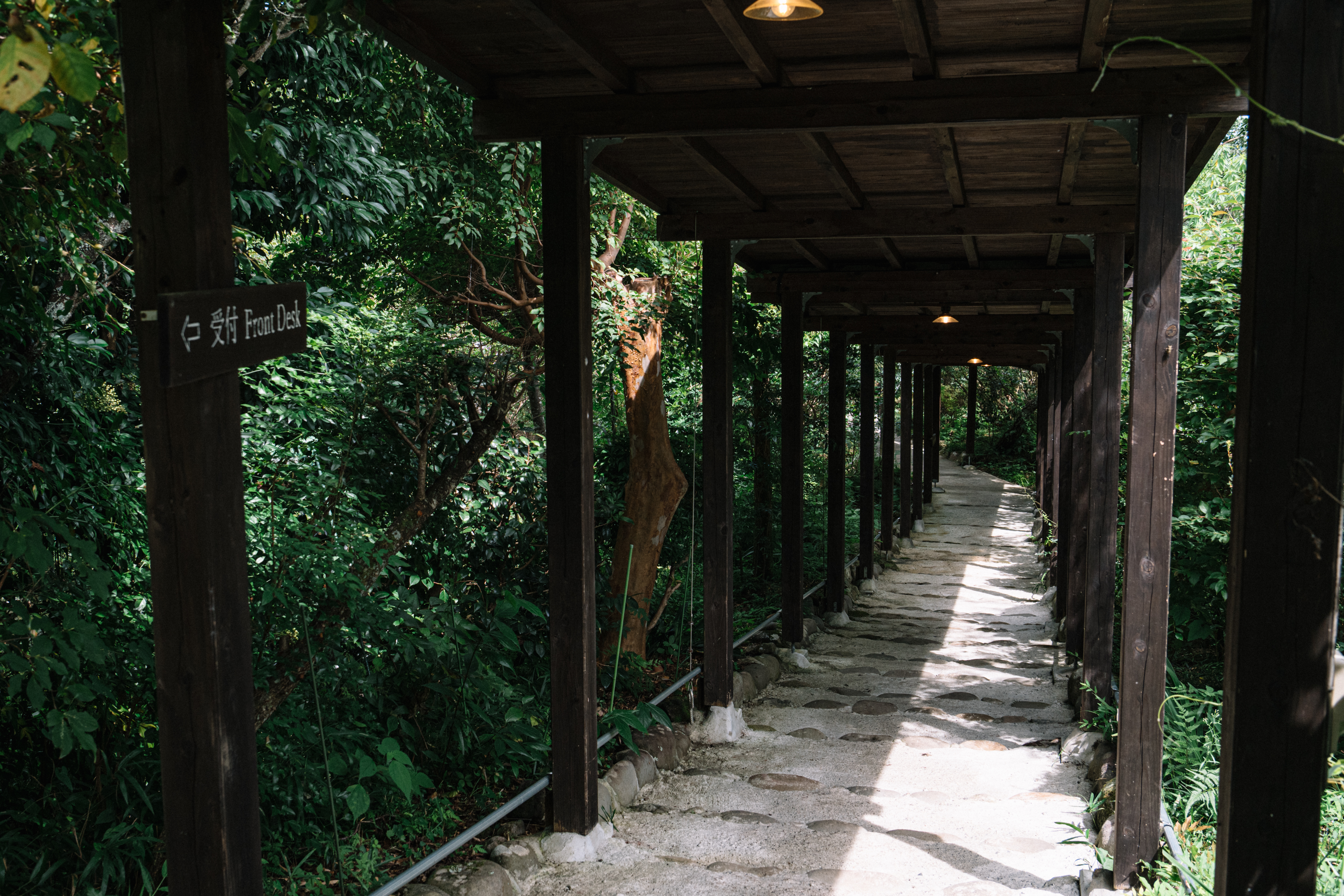 駐車場からの階段