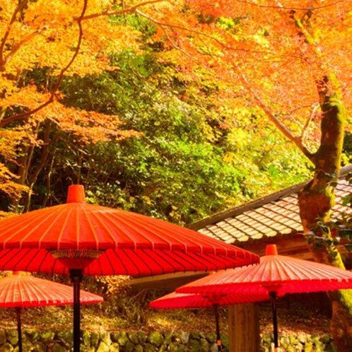 瑞宝寺公園　紅葉