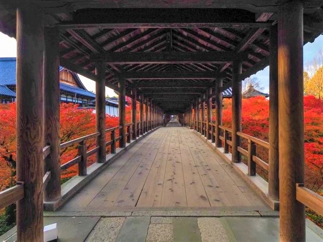 「紅葉の雲海」と言われる回廊からの景色は、一見の価値あり！ぜひ直接ご覧いただきたいです！