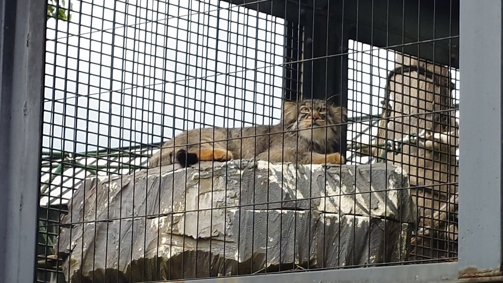 動物たちの「今」に会いに行こう♪【旭山動物園１泊２日入園券付プラン】《地元パンとスープの朝食付》