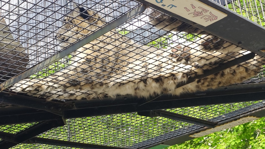 動物たちの「今」に会いに行こう♪【旭山動物園１泊２日入園券付プラン】《地元パンとスープの朝食付》