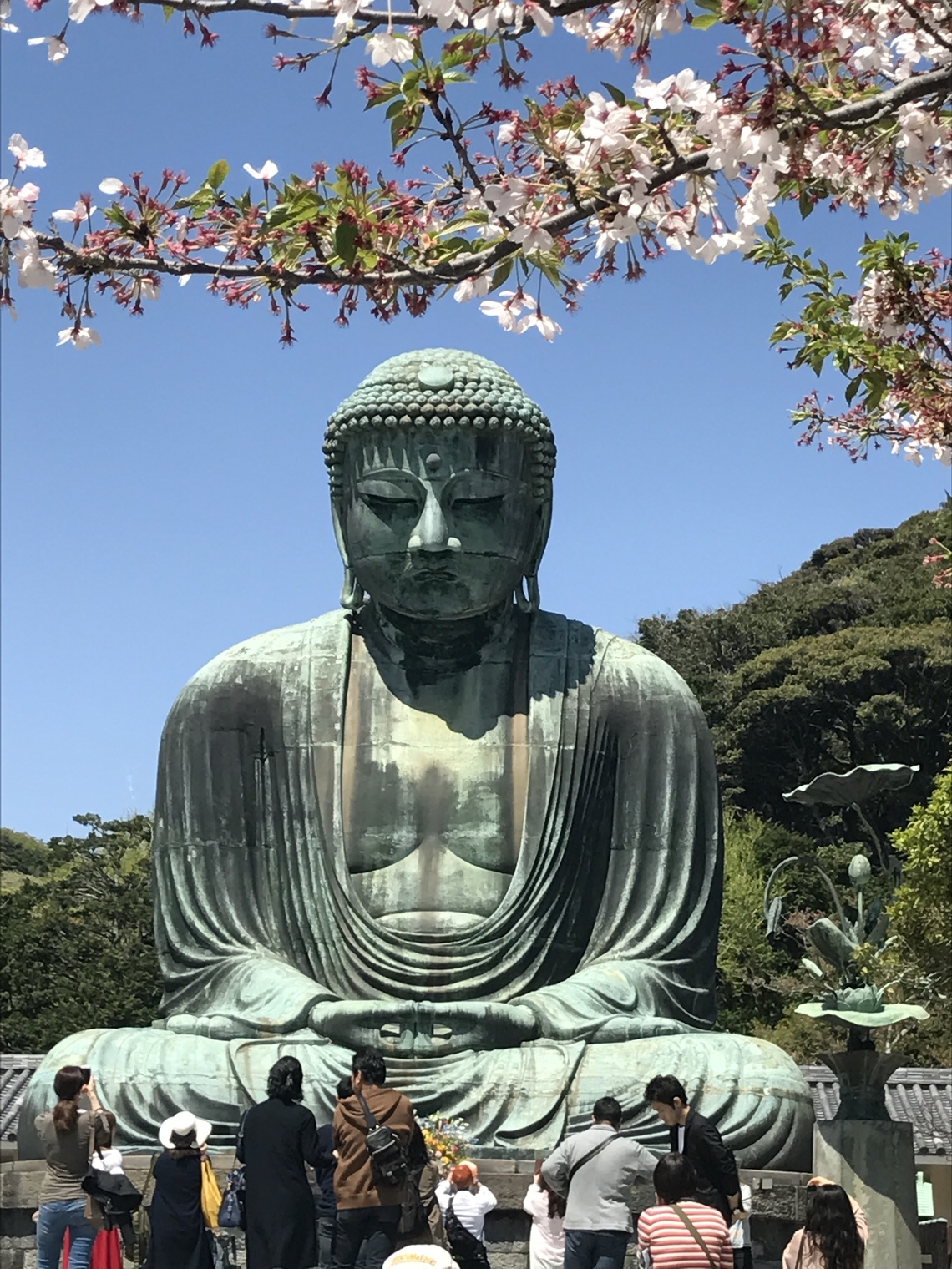 【さき楽30】30日前までのご予約でお得！鎌倉長谷の路地裏に佇むゲストハウスでゆったりステイ