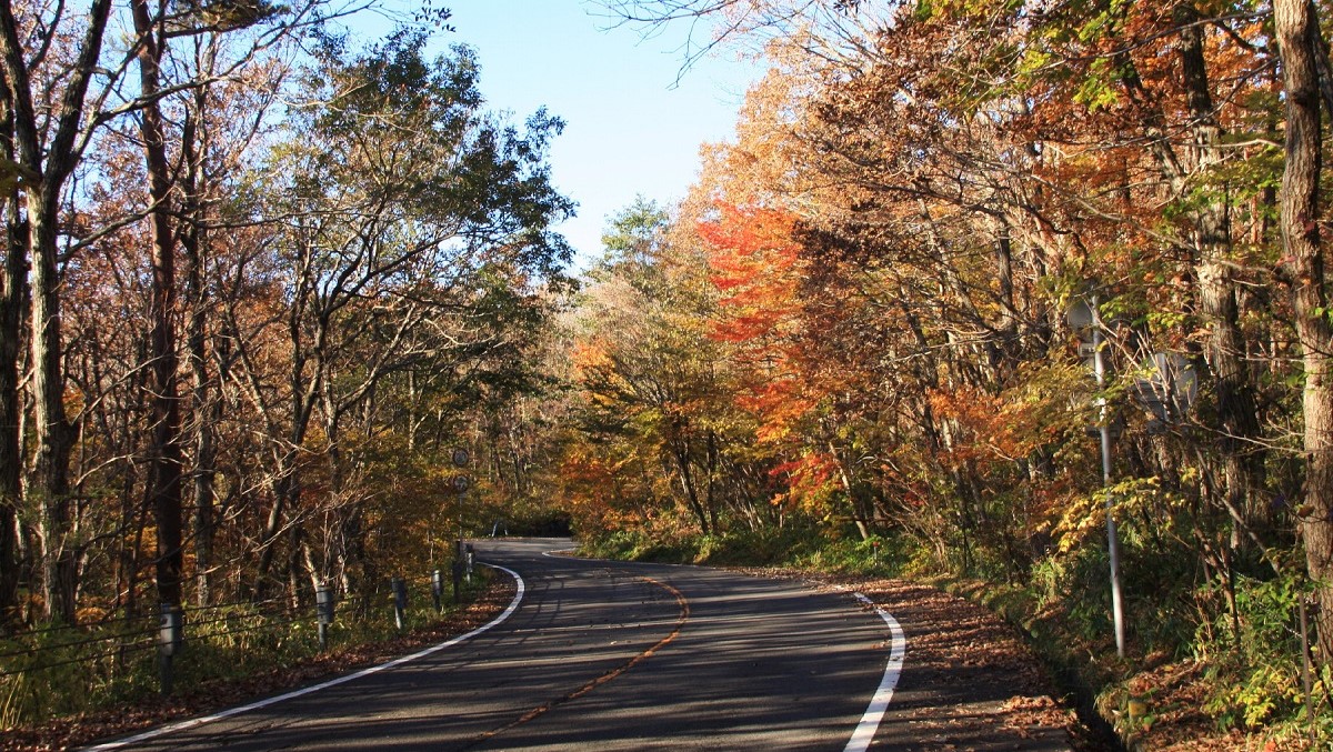 秋の紅葉