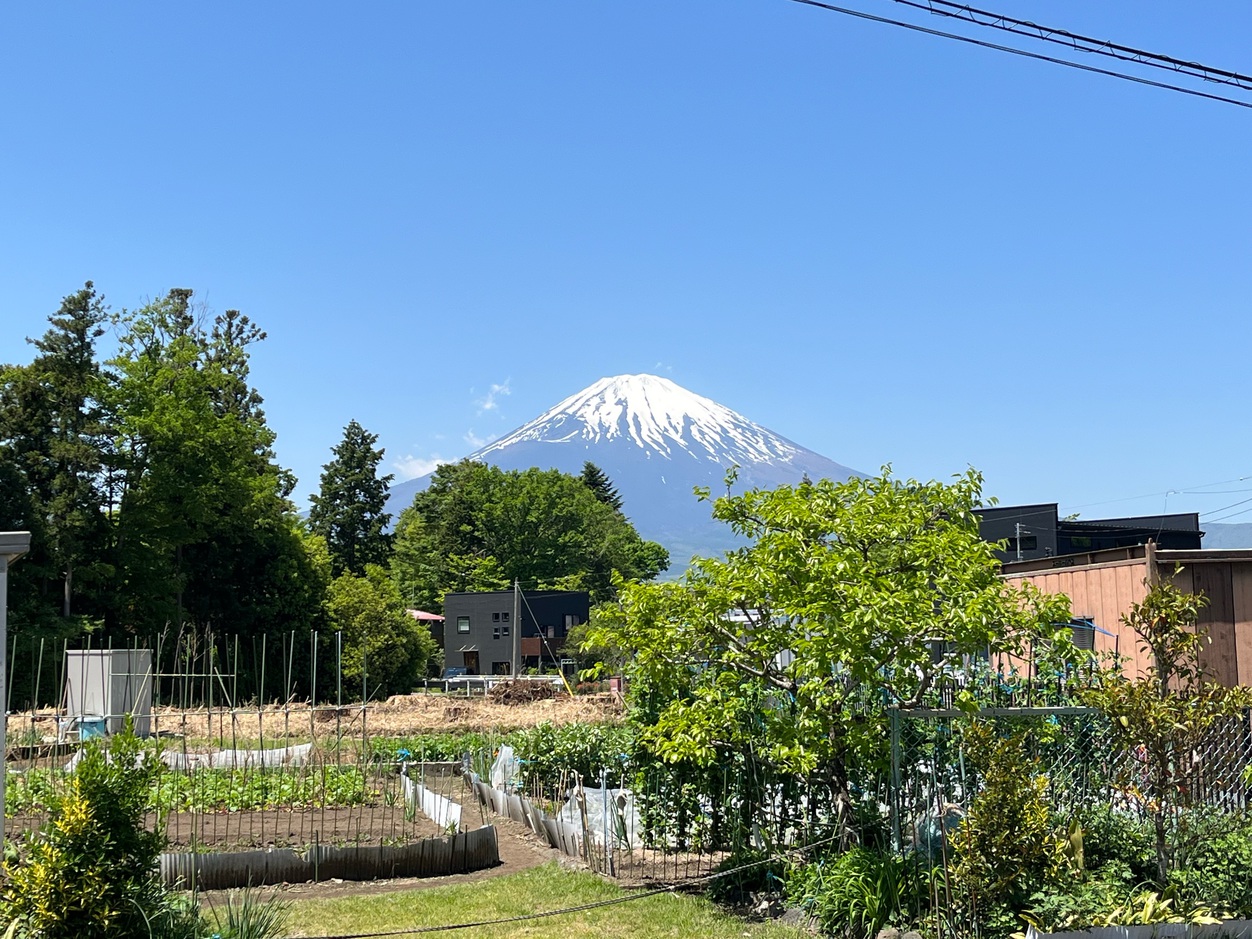 【素泊まりプラン】カード決済限定★広々快適ルーム！富士御殿場観光におすすめ！