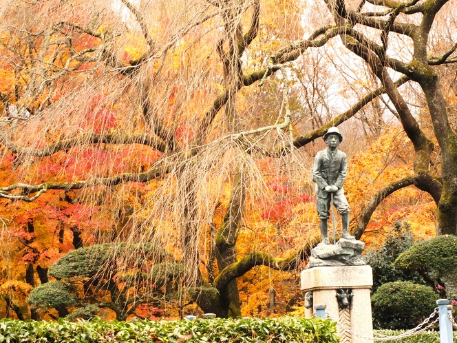 秩父宮記念公園 紅葉シーズン