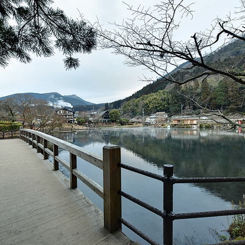 *【周辺（金鱗湖）】湖の周りには木々あふれる場所が随所に点在しています。