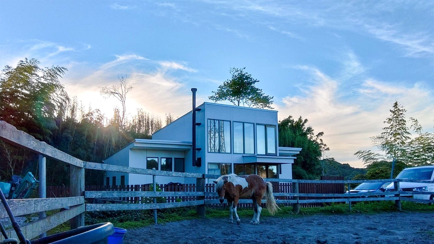 ・【放牧場】動物好きの方やお子様におすすめの馬と触れ合える宿泊施設