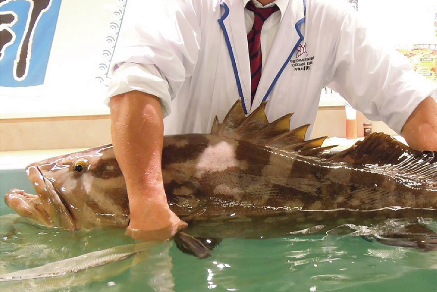【特撰御膳】展望レストランで四季折々の旬の食材を堪能◆朝食は和歌山グルメのバイキング＜1泊2食＞