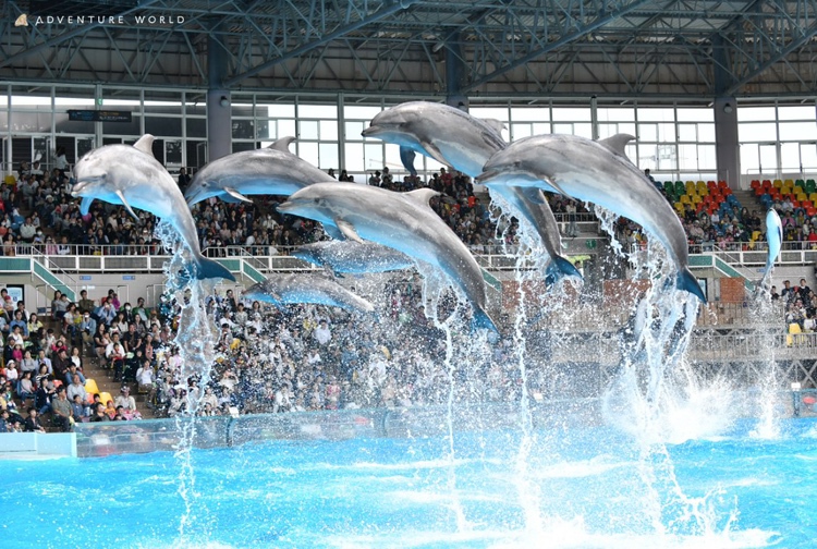 【数量限定｜アドベンチャーワールド入園券付】ファミリーにおすすめ｜車で15分の好アクセス＜1泊朝食＞