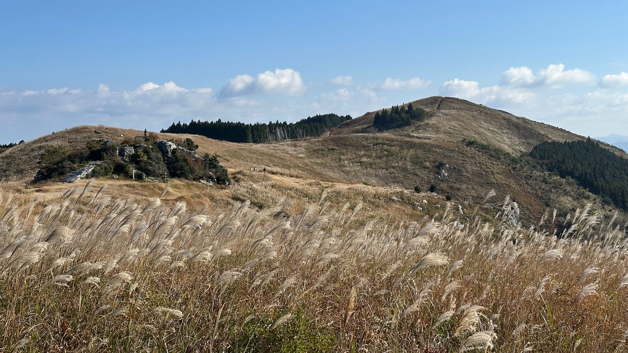 ・【生石高原】秋のススキの絶景が有名。「黄金色の絨毯」と称される壮大な景観が楽しめます