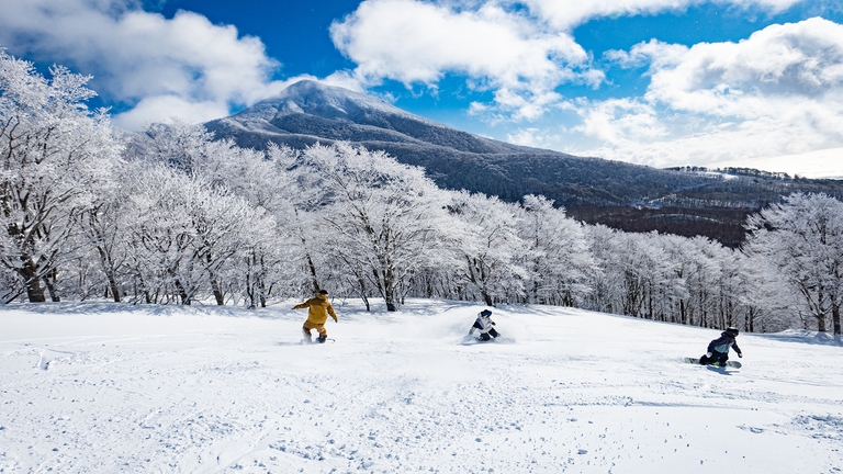 【期間限定・ネコママウンテンリフト券付】１泊素泊まり♪（２０２６年５月６日までの限定販売）