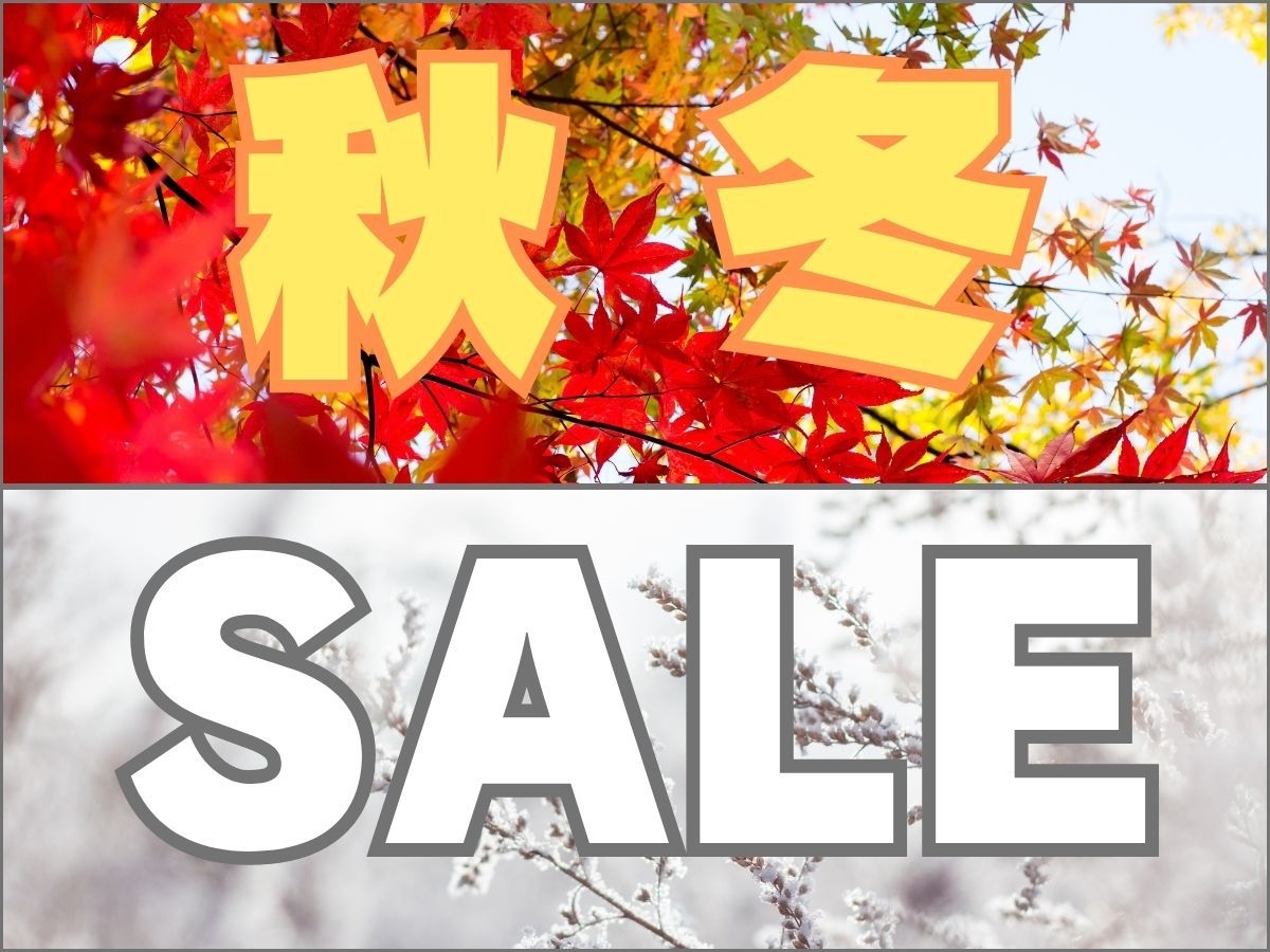【秋冬SALE】ビジネスはもちろん！行楽シーズンから冬休みのご旅行に最適！！素泊まり
