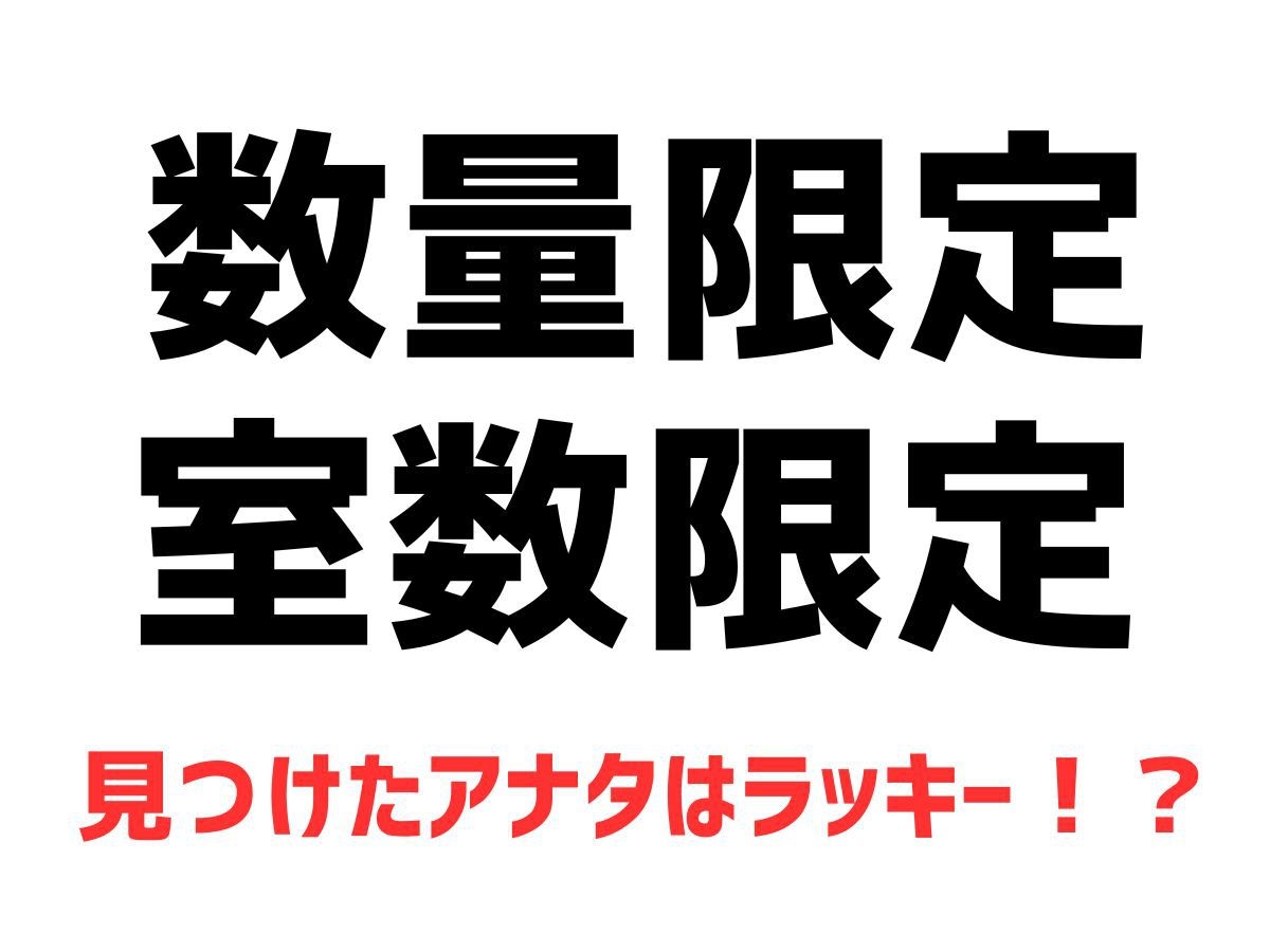 【年末年始限定】●東京観光にも最適●最大24時間STAY ★12時IN〜翌日12時OUT★素泊まり
