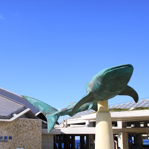 【美ら海水族館　車で30分】入り口のジンベイザメのモニュメント