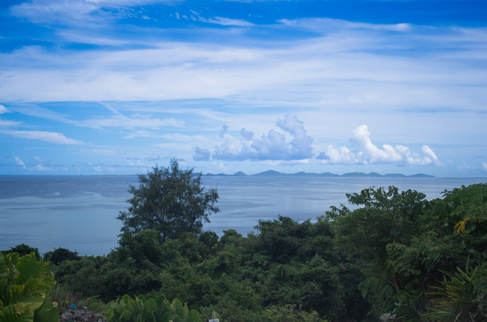 【古宇利でさんぽ】