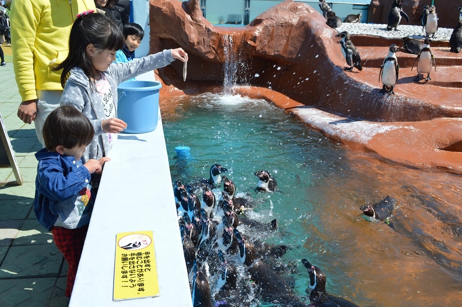 【南知多ビーチランド＆おもちゃ王国入園券付きプラン】大人も子供も！満喫プラン！