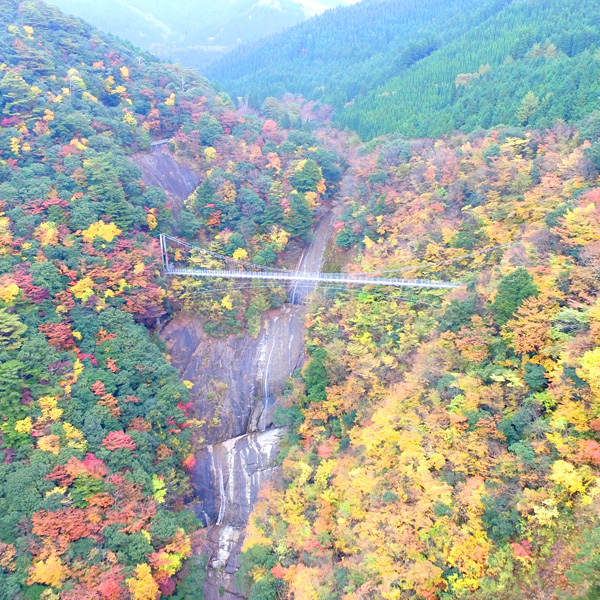 鮮やかな色に染まる山々