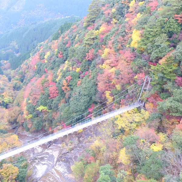 10月下旬から11月中旬は見事な紅葉が見られます