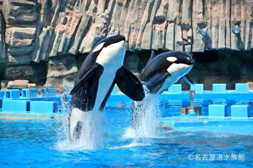【思い出をたくさん作ろう♪】名古屋港水族館入館券付きプラン  素泊り