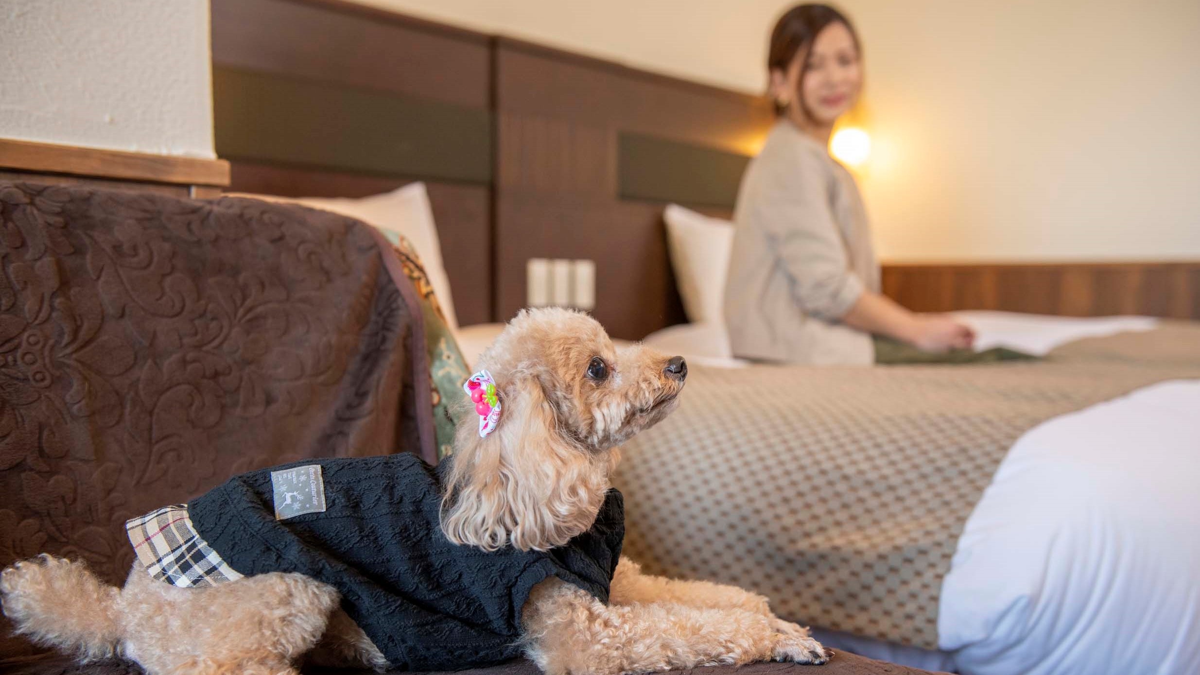 ◆愛犬とお泊り◆限定イベント×特典付★夏休み企画◆お子様へ特典付◆プール楽しむ〈ファミリープラン〉