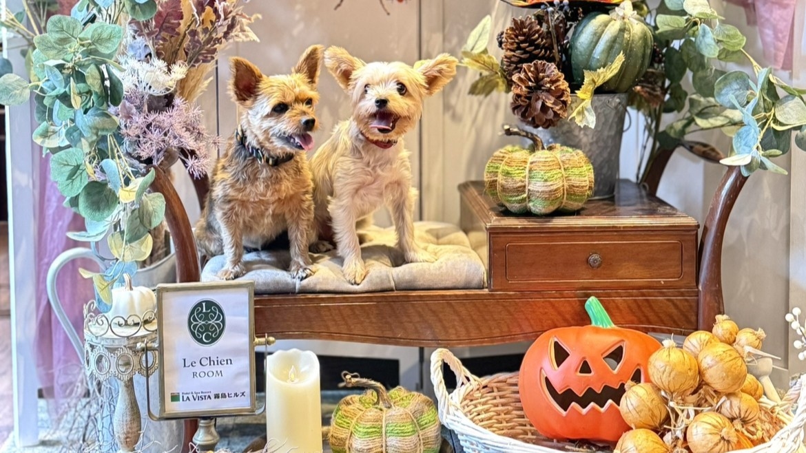 【春SALE】◆期間限定◆愛犬とリゾートステイ《夕朝食付》客室露天風呂とドッグラン完備◆癒しの旅◆