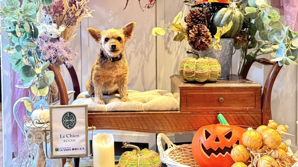 《愛犬とお泊り！》◆全室〈天然温泉〉露天風呂付客室◆ルシアンルーム専用〈１泊２食付き〉