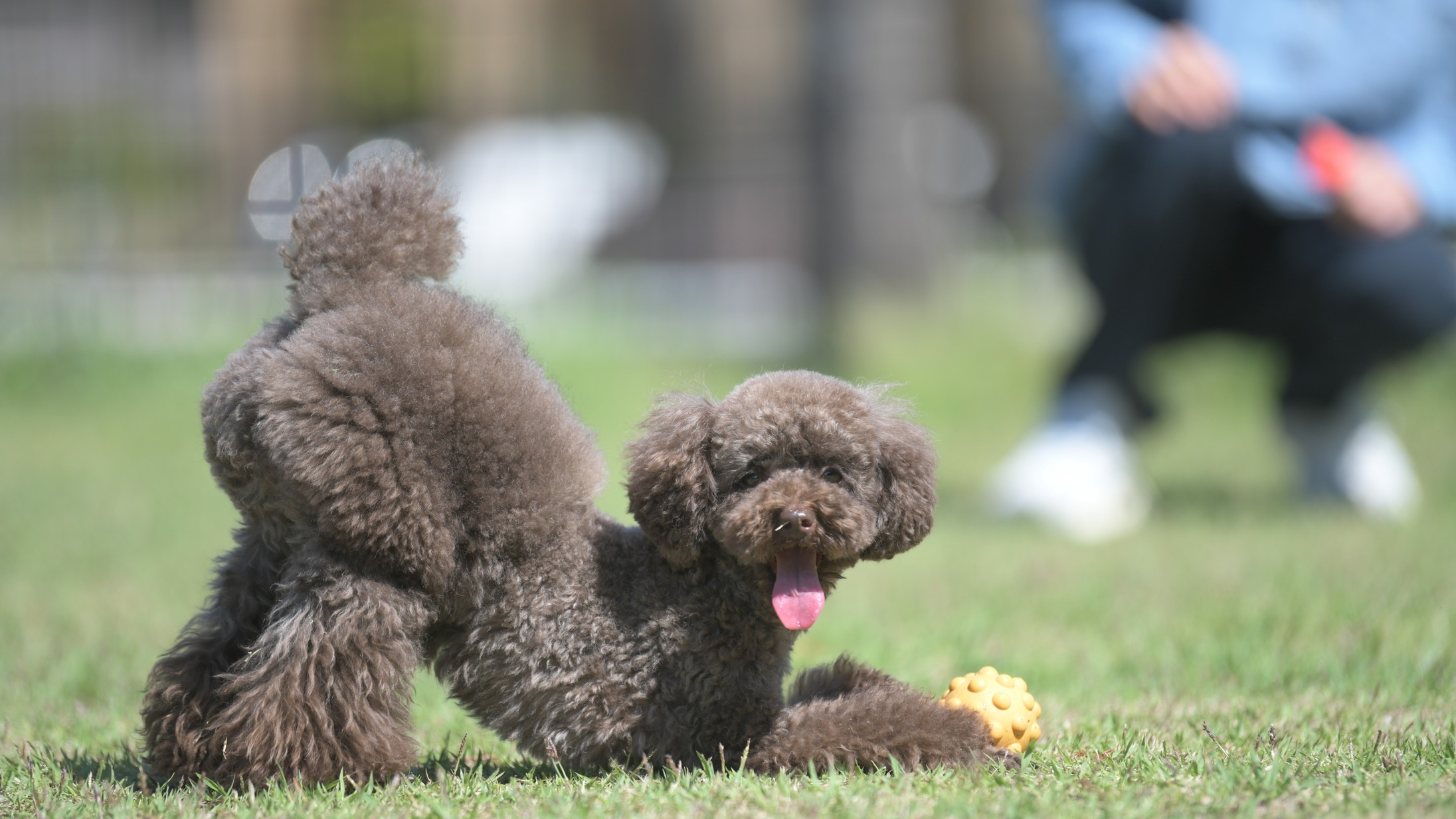 【楽天トラベルサマーSALE】◆◇愛犬と夏の家族旅行◇◆天然温泉の露天風呂付き客室【夕朝食付き】