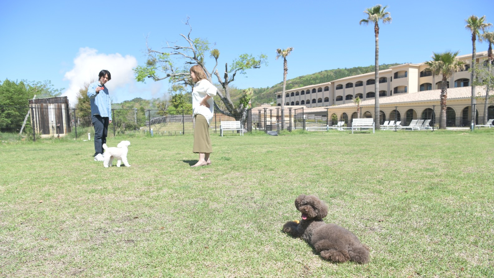 《愛犬とお泊り！》◆全室〈天然温泉〉露天風呂付客室◆ルシアンルーム専用〈１泊２食付き〉