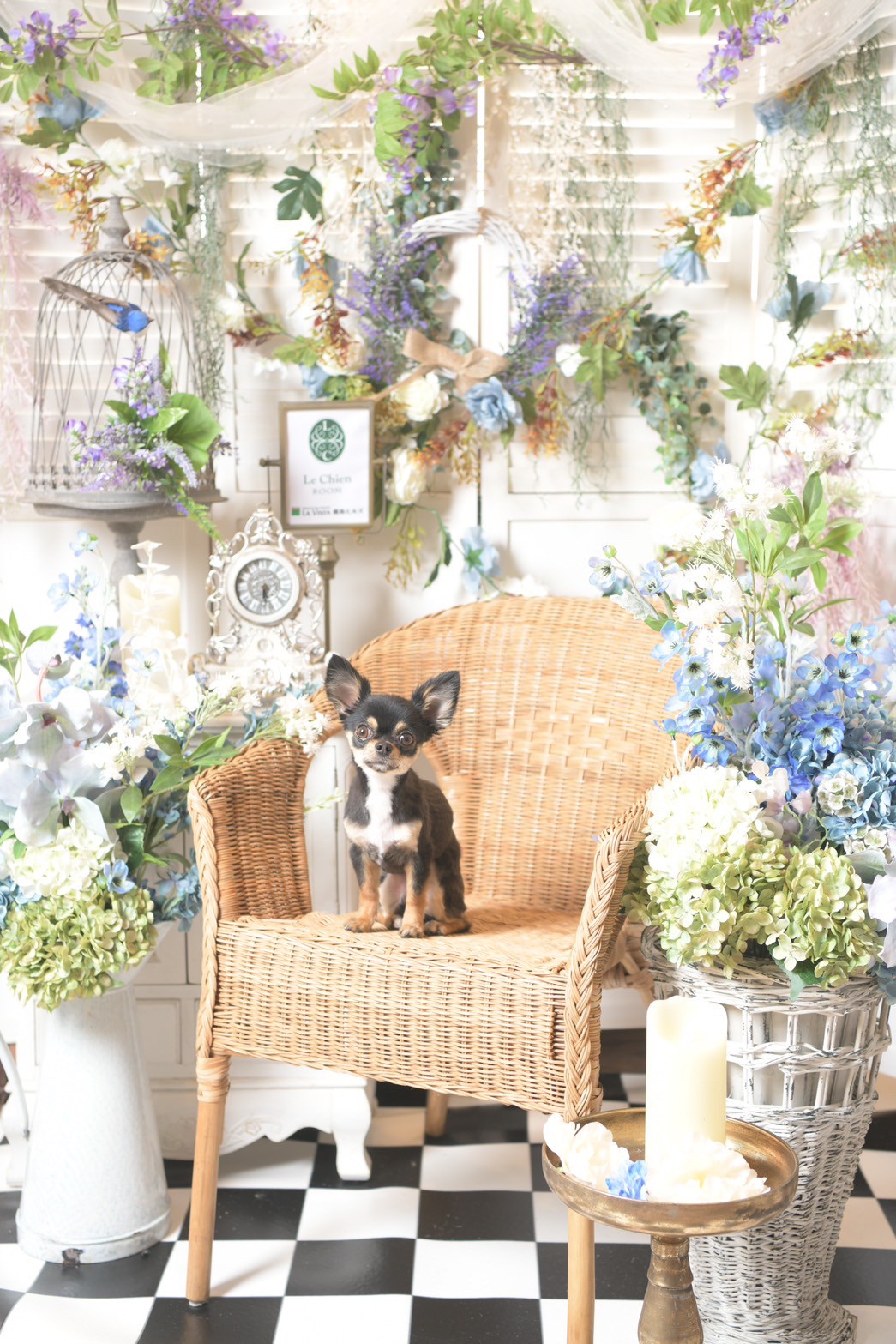 フォトブース　初夏仕様