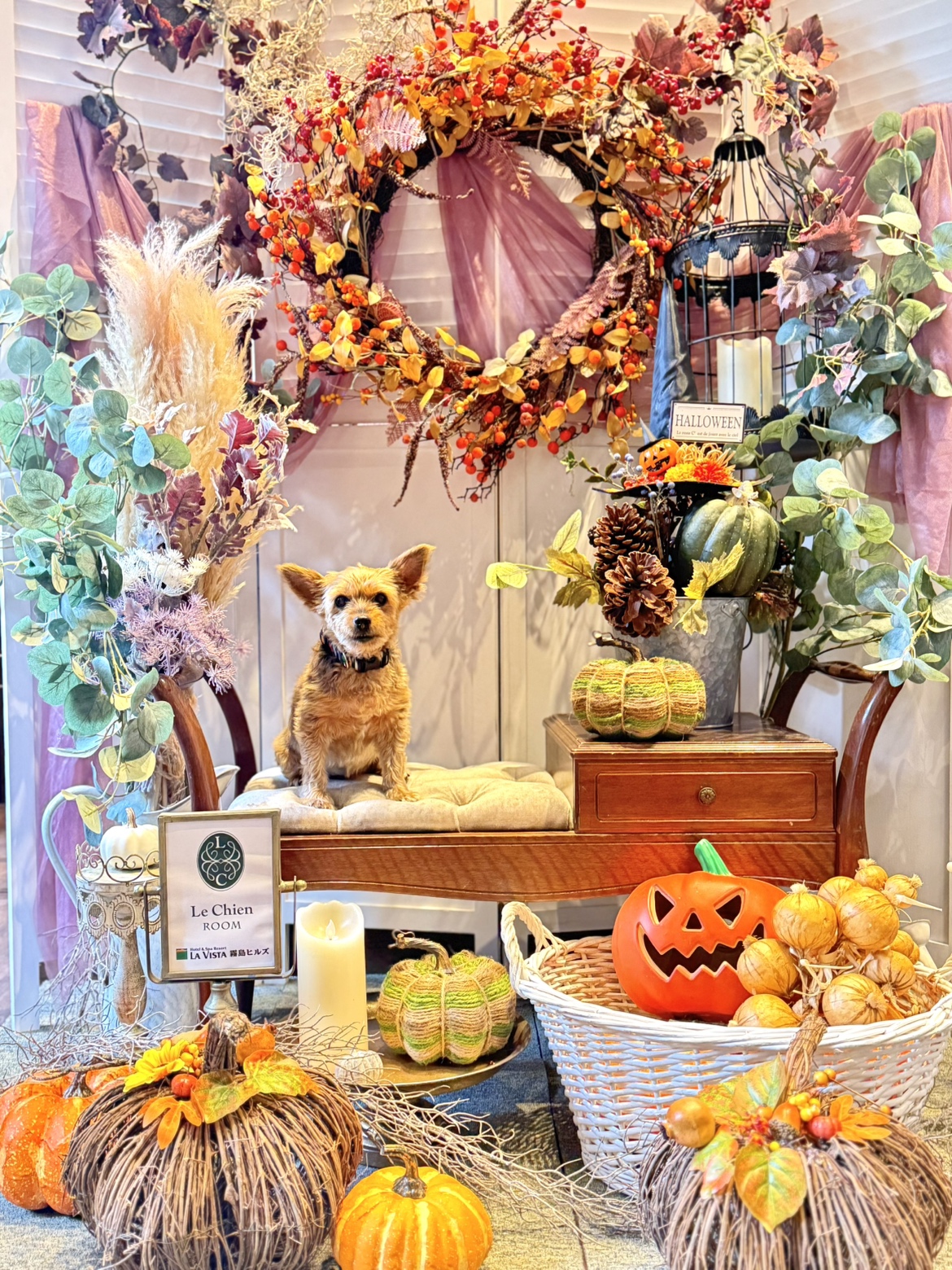 ルシアン専用フォトブース